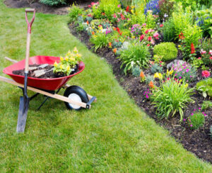 Garden maintenance service