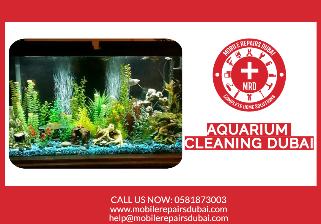 Aquarium Cleaning Dubai - 0524674030 - MRD - 24/7 Services in Dubai